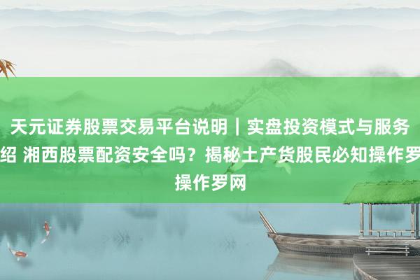 天元证券股票交易平台说明｜实盘投资模式与服务介绍 湘西股票配资安全吗？揭秘土产货股民必知操作罗网