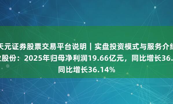 天元证券股票交易平台说明｜实盘投资模式与服务介绍 锡业股份：2025年归母净利润19.66亿元，同比增长36.14%