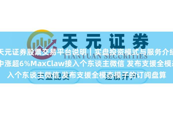 天元证券股票交易平台说明｜实盘投资模式与服务介绍 MINIMAX-W盘中涨超6%MaxClaw接入个东谈主微信 发布支援全模态模子的订阅盘算